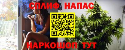 шишки Апшеронск