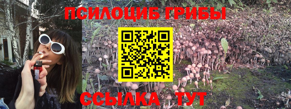 Барнаул  Псилоцибиновые грибы прущие грибы  Галлюциногенные грибы мицелий  Вход с VPN 